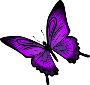 Vibrant Purple Butterfly Illustration PNG image with transparent background