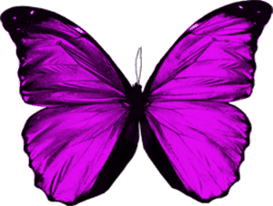 Vibrant Purple Butterfly PNG image with transparent background
