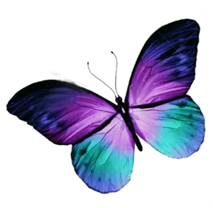 Vibrant Purple Butterfly PNG Image