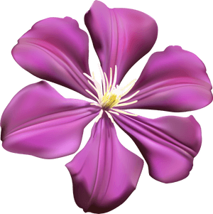 Purple Flower Transparent Png Clip Art Image Png Download - Purple Transparent Background Clipart Flowers, Png Download PNG image with transparent background