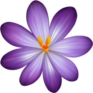 Rose Clipart Lavendar - Purple Flower Clipart Free, HD Png Download PNG image with transparent background
