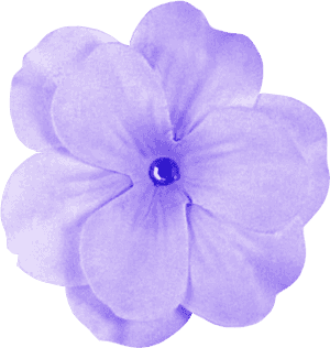 Download Purple Flower Latest Version - Purple Flower Transparent Background, HD Png Download PNG with transparent background