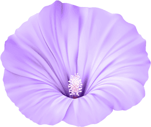 Transparent Purple Flowers Png - Purple Flower On Transparent, Png Download PNG image with transparent background