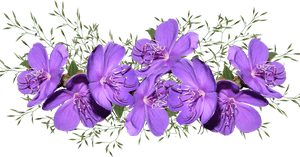 Purple Pink Flower Png, Transparent Png PNG image with transparent background
