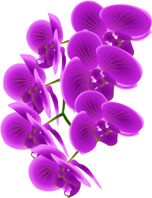 Free Purple Orchid Clipart - Purple Orchid Clip Art, HD Png Download PNG image with transparent background