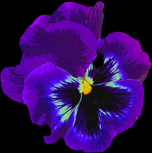 Vibrant Purple Pansy Flower PNG image with transparent background