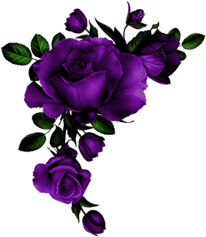 Rose Coin Mauve - Watercolor Red Roses Transparent Background, HD Png Download PNG image with transparent background