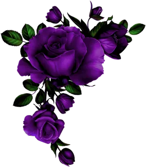 Vibrant Purple Roses Artwork PNG Image