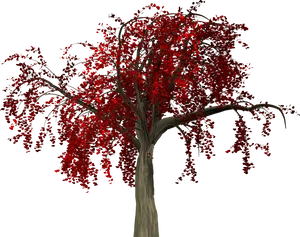 Vibrant Red Autumn Tree PNG Image