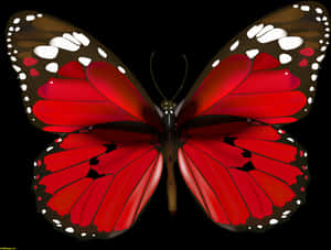 Vibrant_ Red_ Butterfly_ Illustration PNG image with transparent background