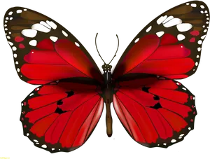 Vibrant_ Red_ Butterfly_ Illustration PNG Image