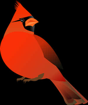 Vibrant Red Cardinal Illustration PNG image with transparent background