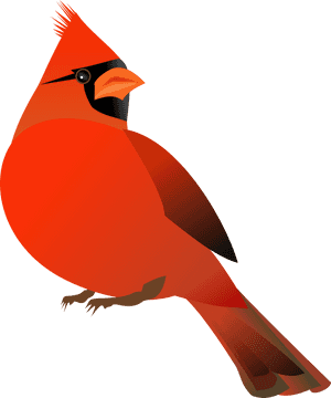 Cardinal, Bird, Cardinalidae, Animal, Red, Exotic - Red Cardinal Clipart, HD Png Download PNG image with transparent background