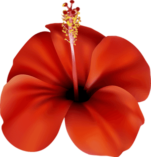 Red Flower Png Clip Art, Transparent Png PNG