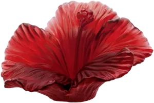 Vibrant Red Hibiscus Flower PNG Image