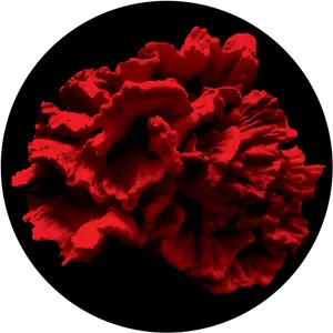 Vibrant Red Peony Flower PNG Image