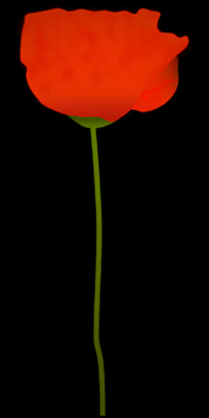 Vibrant Red Poppy Flower PNG image with transparent background
