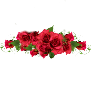 #rose #roses #border #redroses #red #redaesthetic #romantic - Sticker Red Rose Png, Transparent Png PNG image with transparent background
