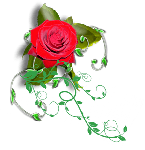 Transparent Rose Vines Png - Transparent Rose Vines, Png Download PNG image with transparent background