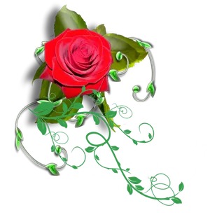 Vibrant Red Rose Artwork PNG Image