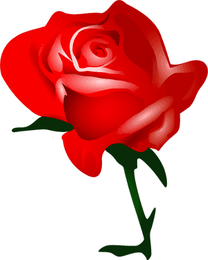 Red Rose Clipart - Cartoon Red Rose, HD Png Download PNG with transparent background