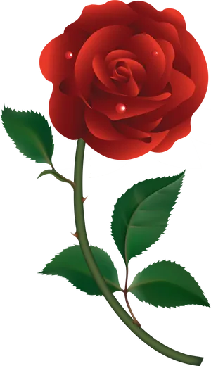 Vibrant Red Rose Illustration.png PNG Image