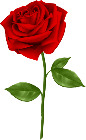 Blue Rose Clip Art - Red Rose Png Transparent, Png Download PNG image with transparent background