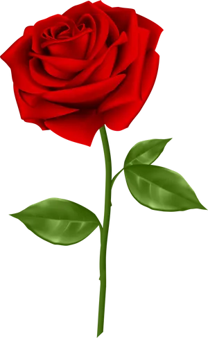 Vibrant Red Rose Illustration.png PNG Image