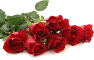Download Red Rose Png Free Download For Designing Use - Flower Red Rose Png, Transparent Png PNG image with transparent background