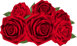 Rose Cliparts Transparent Full Size - Red Roses Hd Png, Png Download PNG image with transparent background