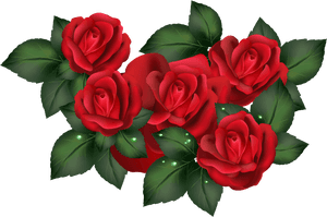 Transparent Red Roses Png - Red Rose, Png Download PNG image with transparent background