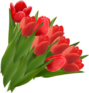 Tulip Png Image - Transparent Background Red Tulip Png, Png Download PNG with transparent background