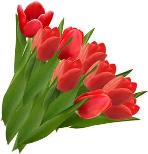 Vibrant Red Tulips Bouquet PNG Image