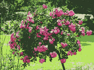 Vibrant Rose Bush Artwork PNG image with transparent background