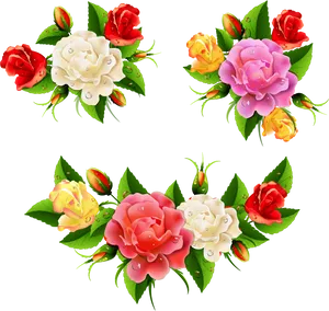 Vibrant_ Roses_ Collection_ Vector PNG Image