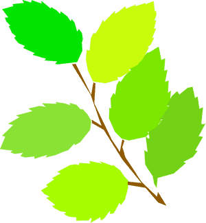Simple Spring, New Leaves Clip Arts - Spring Clip Art, HD Png Download PNG image with transparent background