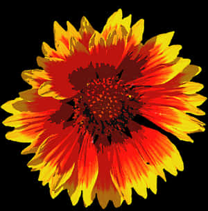 Vibrant Summer Bloom PNG image with transparent background