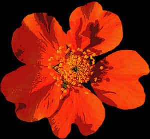 Vibrant Summer Bloom PNG image with transparent background