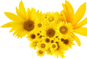 Vibrant Sunflower Bouquet.png PNG Image