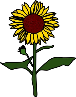 Vibrant Sunflower Clipart PNG Image