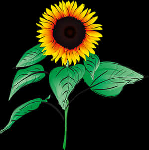 Vibrant Sunflower Graphic PNG image with transparent background