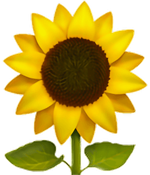 ❁ Sunflower Emoji 🌻 Sunflower Sun Flower Emoji Emotico - Sunflower Emoji Png, Transparent Png PNG