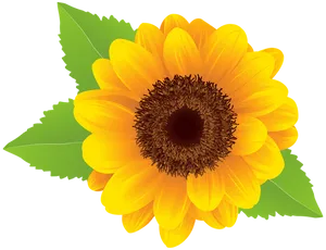 Vibrant_ Sunflower_ Graphic PNG Image