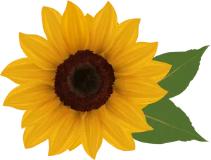 Vibrant Sunflower Illustration PNG Image