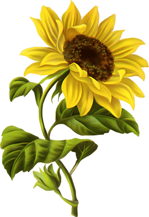 Tuesday Good Morning Hanuman Ji, HD Png Download PNG image with transparent background