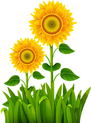 Vibrant Sunflowers Grass Backdrop PNG Image