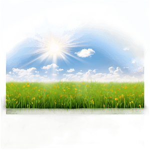 Vibrant Sunny Field PNG 06202024 PNG