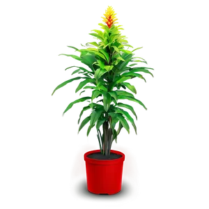 Vibrant Tall Plant Png 06282024 PNG Image