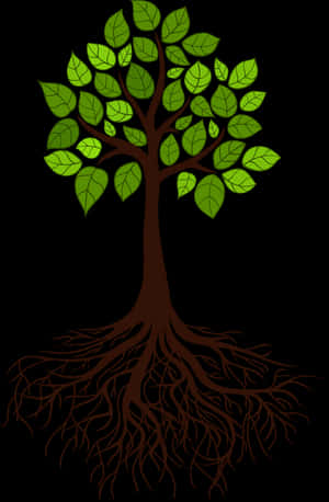 Tree Root Branch - Tree With Roots, HD Png Download PNG