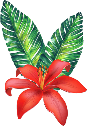 #flower #tropical #freetoedit - Vector Tropical Flowers Png, Transparent Png PNG image with transparent background